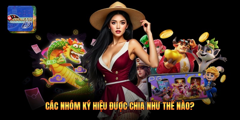 Các nhóm ký hiệu được chia như thế nào?